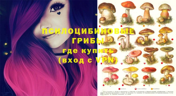 прущие грибы Няндома