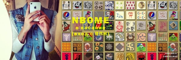 прущие грибы Няндома
