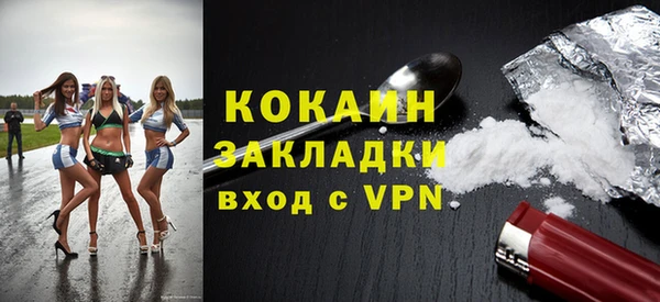 прущие грибы Няндома