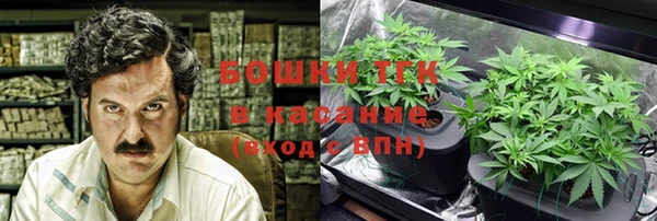 прущие грибы Няндома