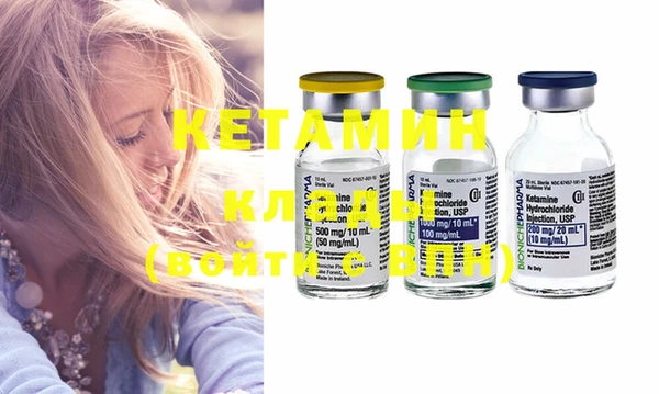 прущие грибы Няндома