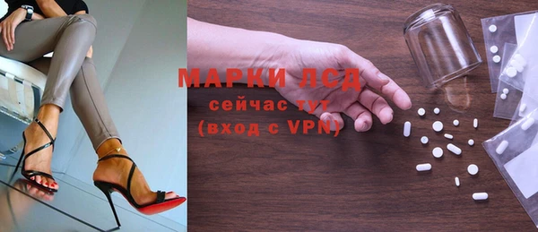 прущие грибы Няндома
