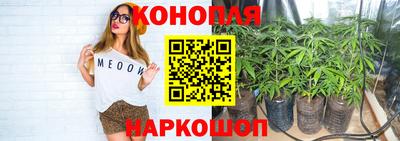 ALPHA PVP Камышлов