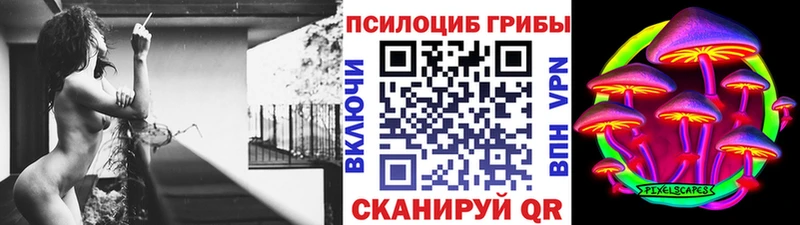 дарнет шоп  Коркино  Галлюциногенные грибы мицелий 