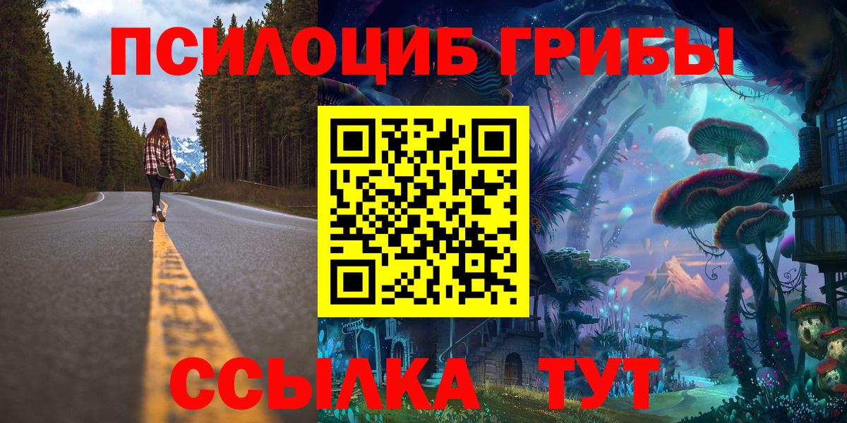 Псилоцибиновые грибы мицелий Коркино