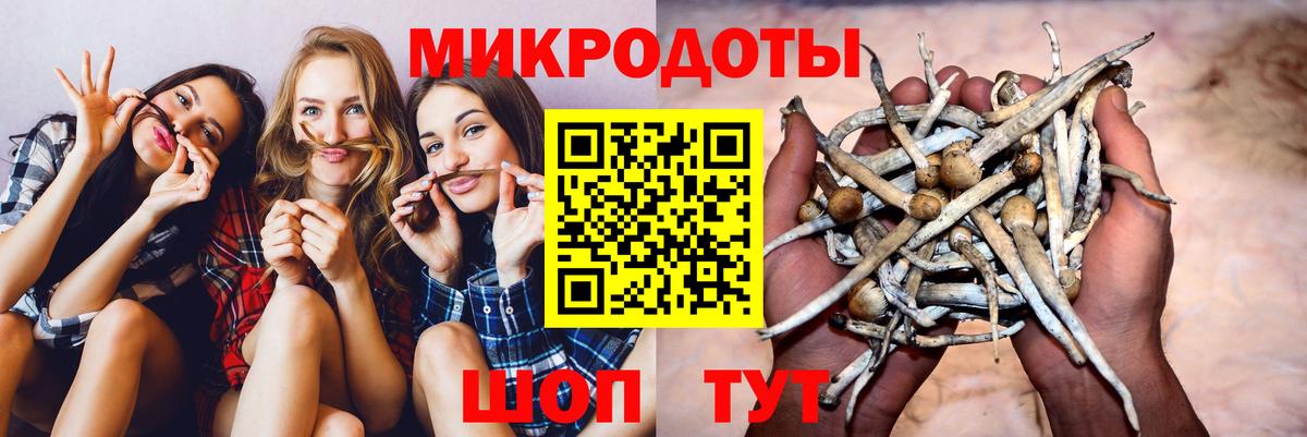 Коркино  Псилоцибиновые грибы GOLDEN TEACHER  дарнет шоп  Вход с VPN 